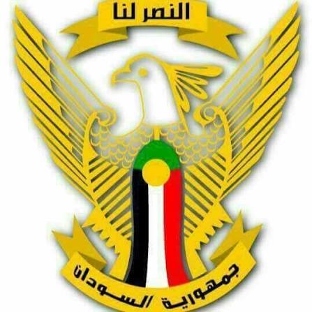 القوات النظامية